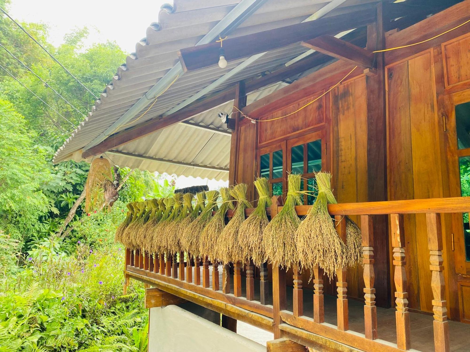 Du Gia Field View Homestay Lang Cac Bagian luar foto